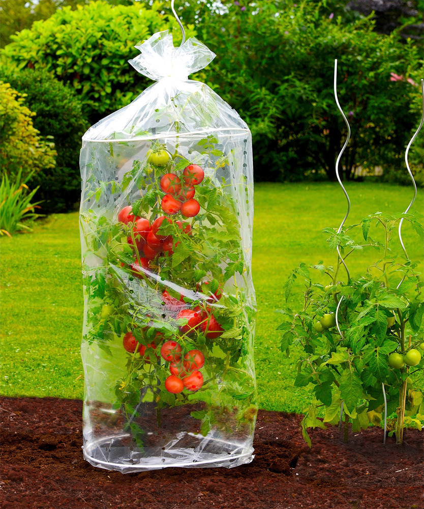 Housse pour tomates  set de 2