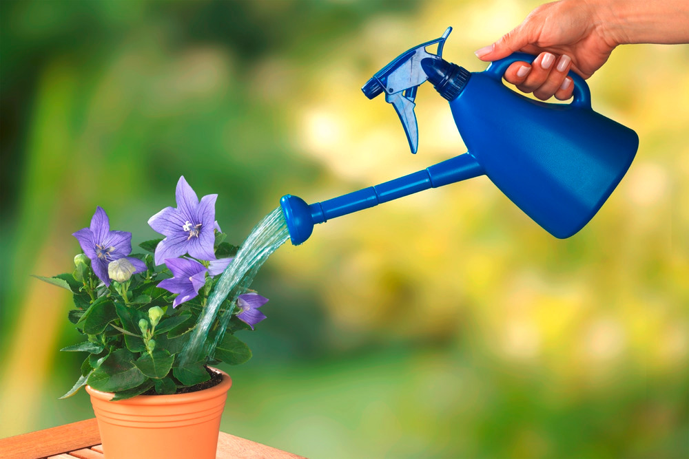 Arrosoir et pulvérisateur pour plantes  3en1