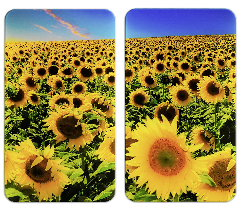 Protection plaque de cuisson en verre "tournesols", lot de 2  pour tous les types de feux