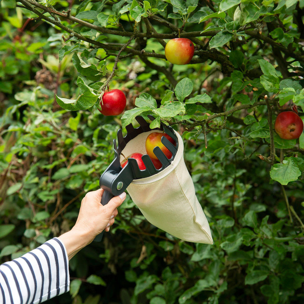 Collecteur de fruits XL avec manche télescopique  Articulation à 270º