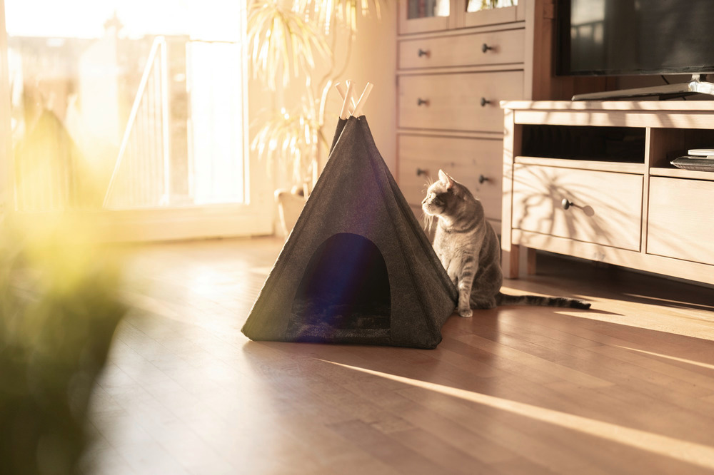 Tipi en feutre pour animaux de compagnie couleur anthracite  45 x 45 x 60 cm