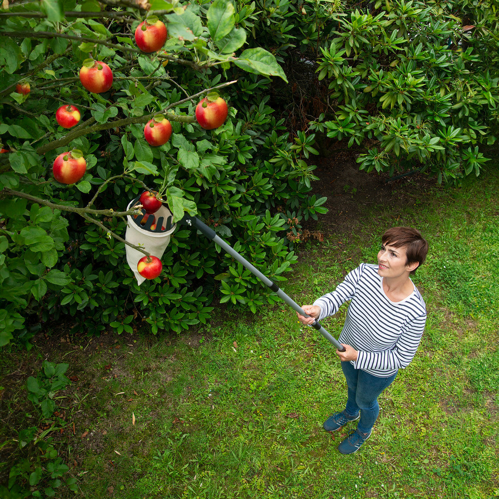 Collecteur de fruits XL avec manche télescopique  Articulation à 270º