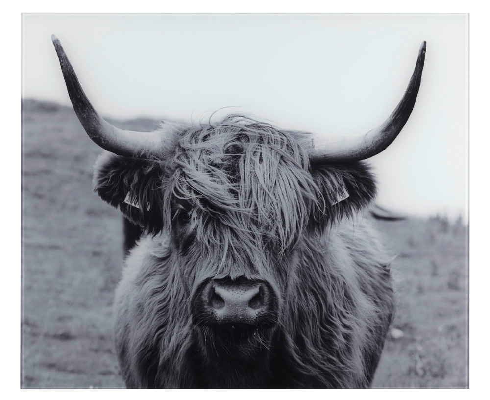 Fond de hotte "Yak", crédence cuisine verre, plaque antiéclaboussures,   Protection contre les éclaboussures pour la cuisinière ou l'évier